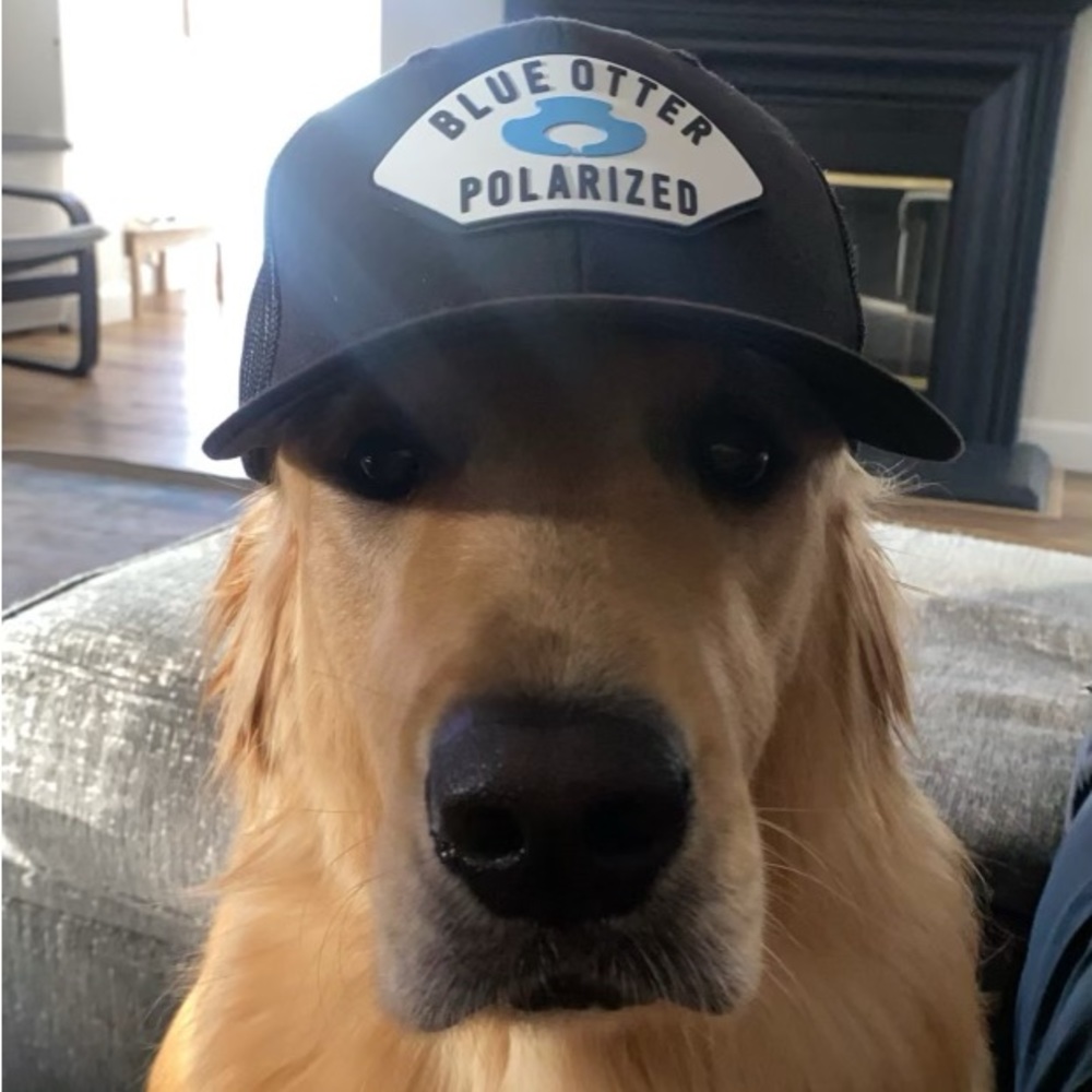 Meet your Posher, Nate